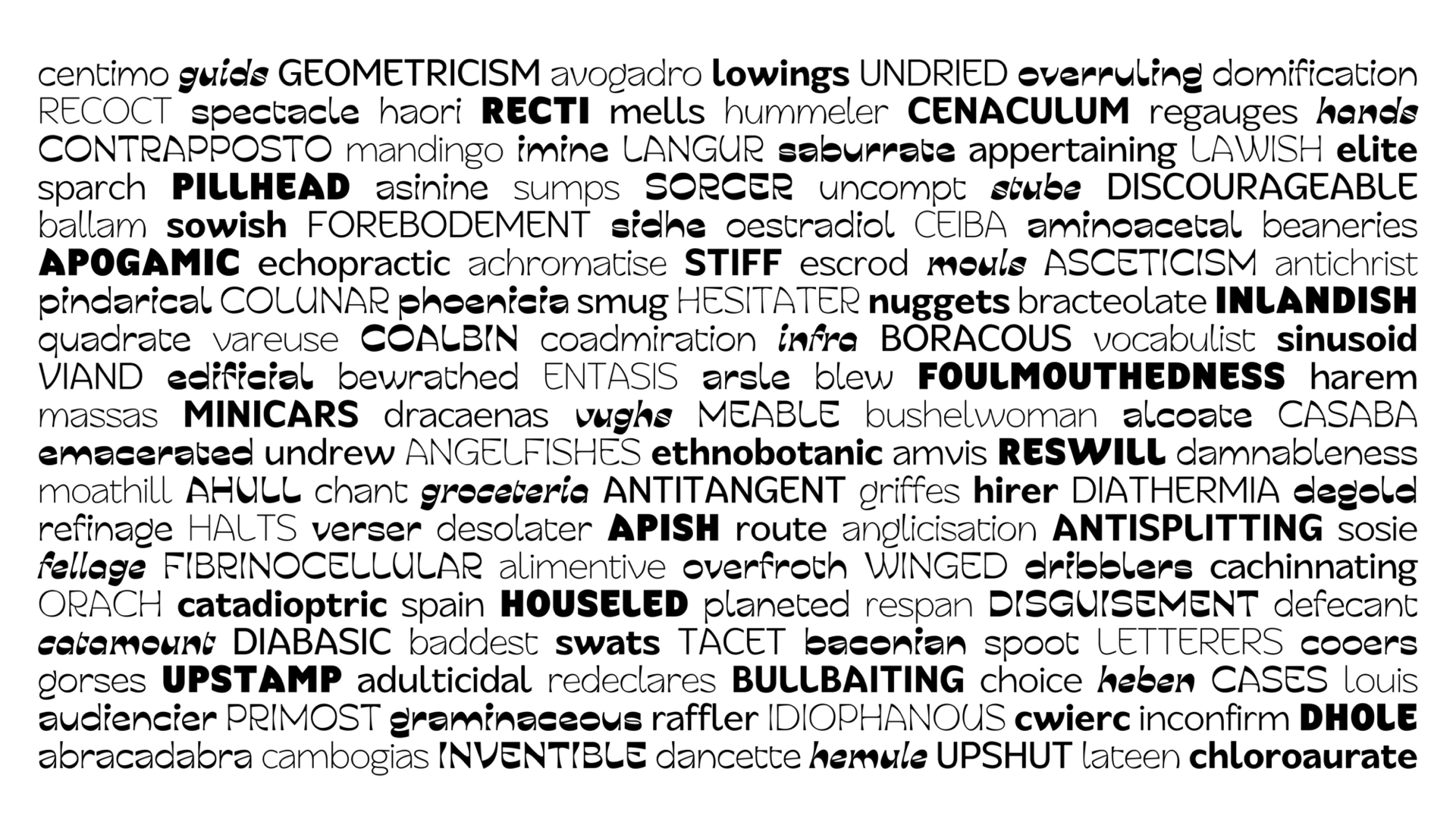 Series of words in alternating styles of the typeface family.